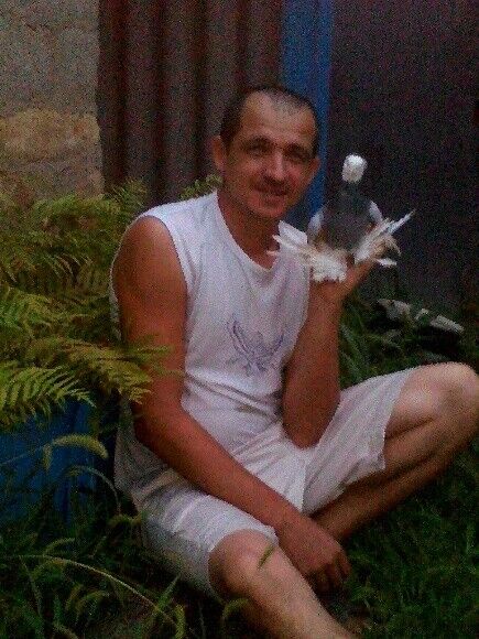  ,   , 42 ,   