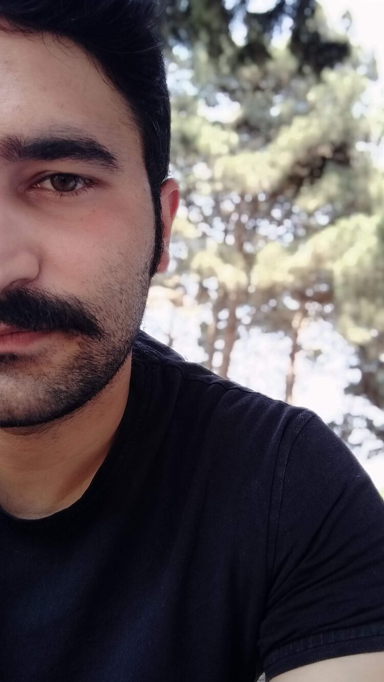 ���� 24480446 ������� �����, 29 ���, ���� ���������� � ����