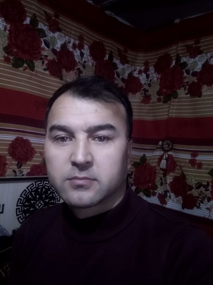  33666946  , 41 ,    