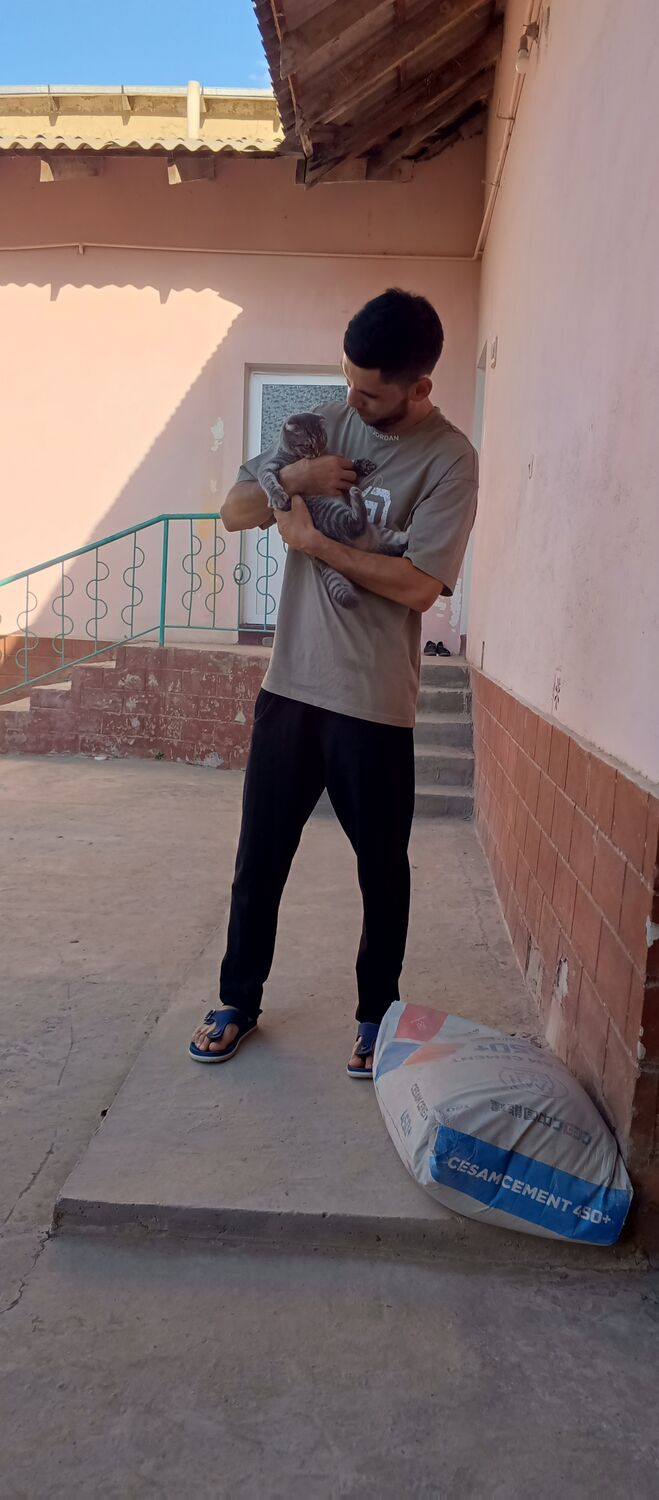  48230946  Muhammed, 28 ,    