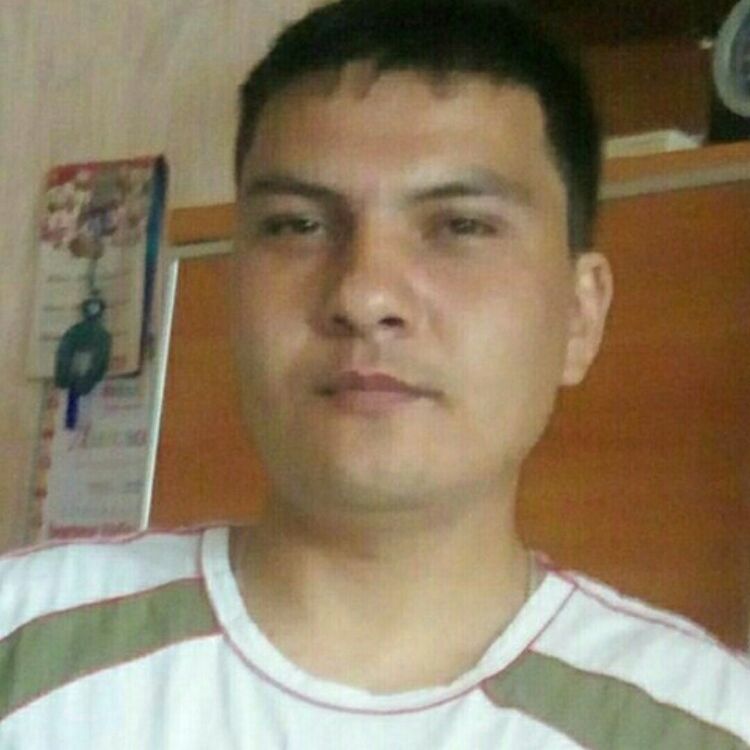  33646406  , 34 ,    