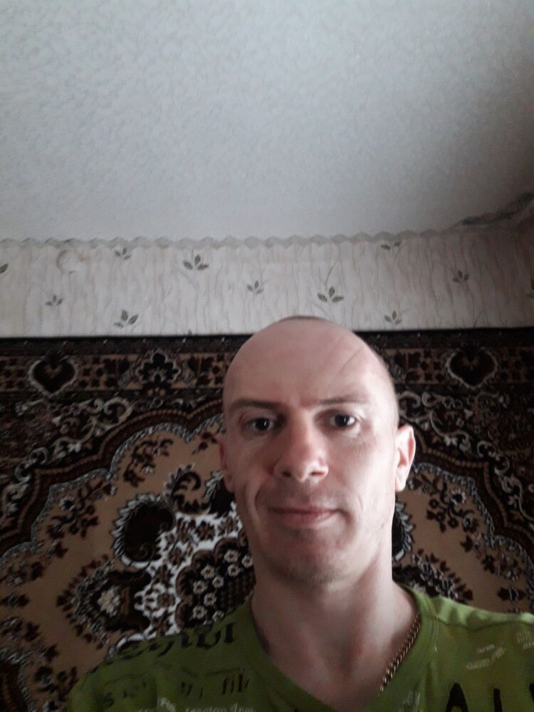  15537686  , 43 ,    