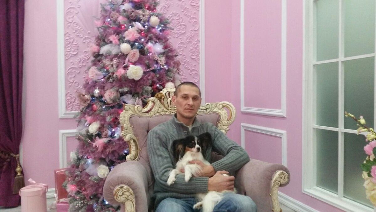 ���� 10356896 ������� �������, 48 ���, ���� ���������� � ������