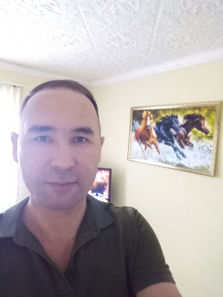  15520266  , 48 ,    