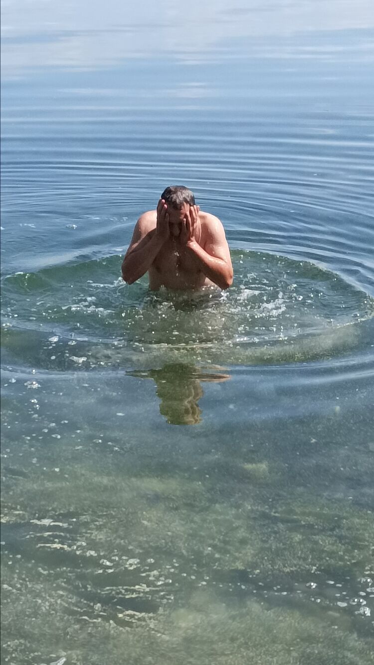 ���� 38217736 ������� ������, 48 ���, ���� ���������� � ���������