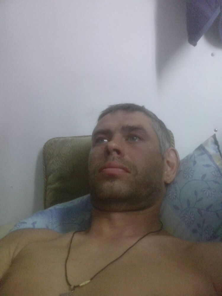  16198006  , 43 ,    