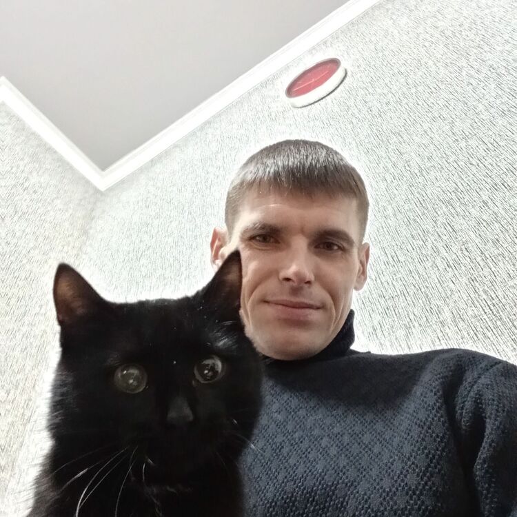 ���� 25583586 ������� �������, 34 ����, ���� ���������� � �������