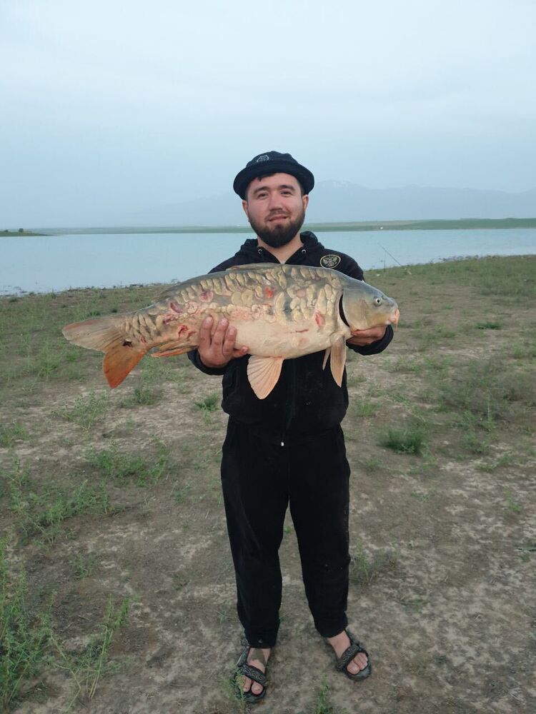 ���� 28326026 ������� ���, 32 ����, ���� ���������� � ����������