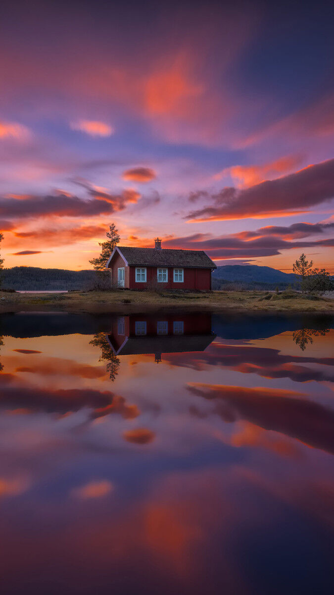 ���� 12915416 ������� ����, 41 ���, ���� ���������� � �����