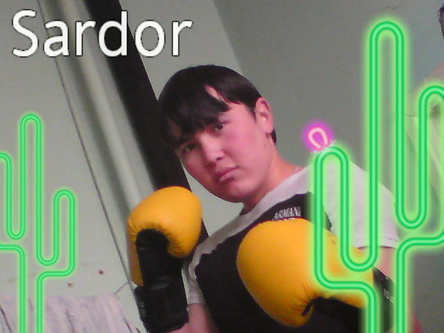  ,   Sardor, 33 ,   ,   , c 