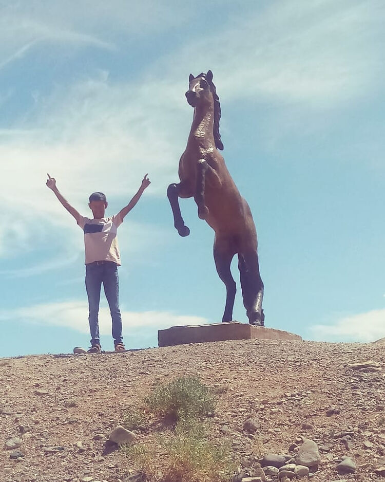 ���������� ������, ���� ������� Adilet, 35 ���, ������������ ��� ������, ����� � ���������