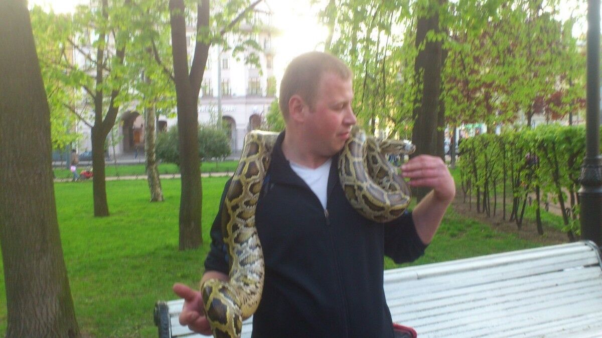 ���� 17249156 ������� ������, 37 ���, ���� ���������� � �����-����������