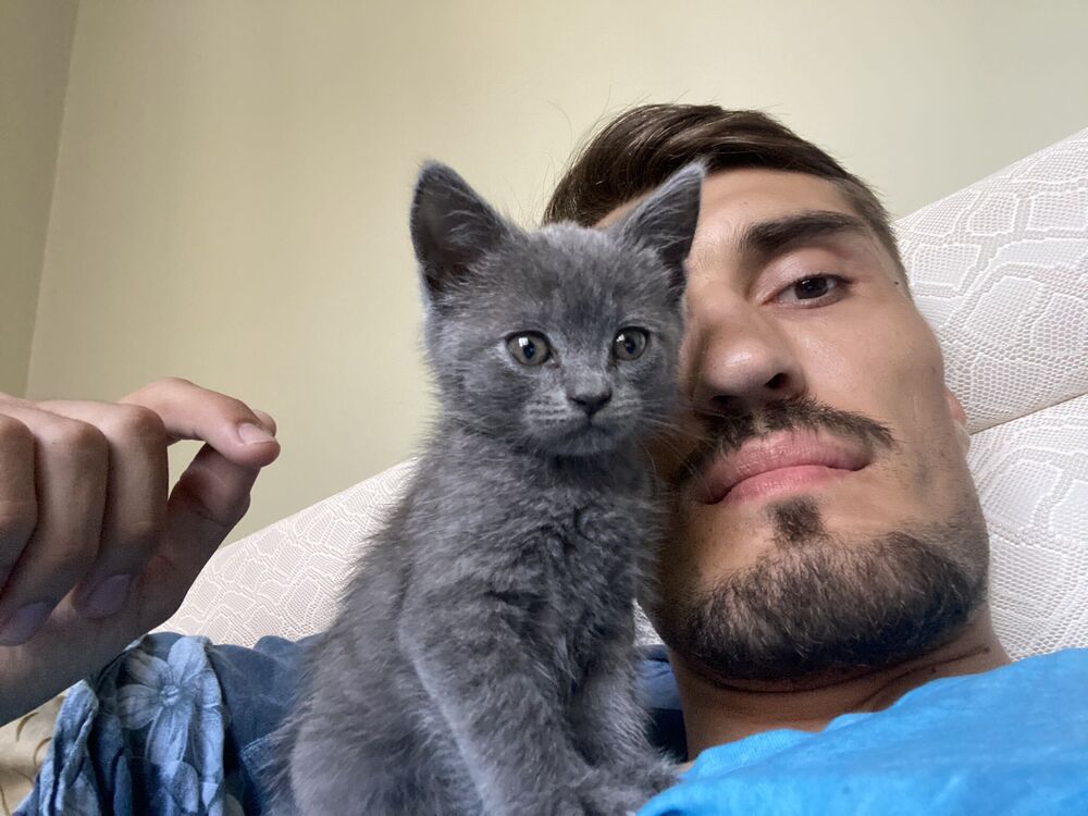 ���������� ���������, ���� ������� ����, 31 ���, ������������ ��� c�������� ���������