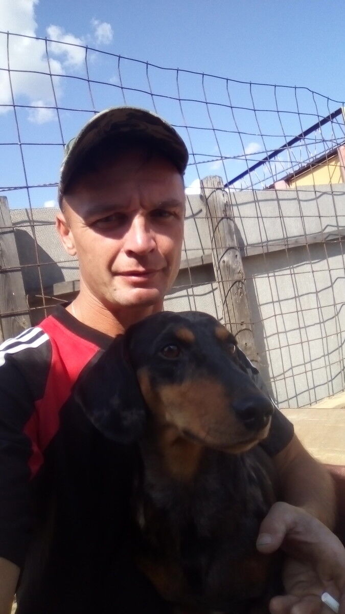 ���������� ����, ���� ������� �������, 44 ����, ������������ ��� ������, ����� � ���������, c�������� ���������