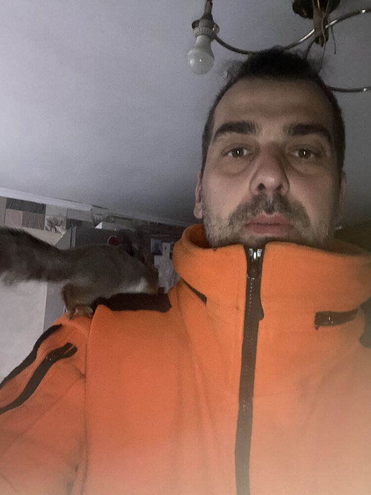 ���������� ����, ���� ������� ����, 44 ����, ������������ ��� ������, ����� � ���������