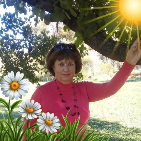  28753366  Emilia, 64 ,     