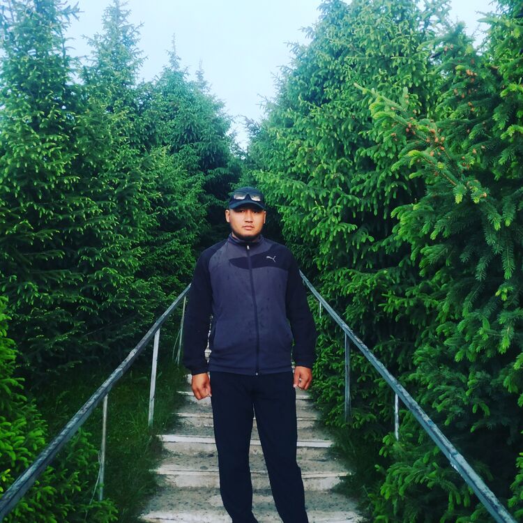 ���� 31671826 ������� Talant, 32 ����, ���� ���������� � ������