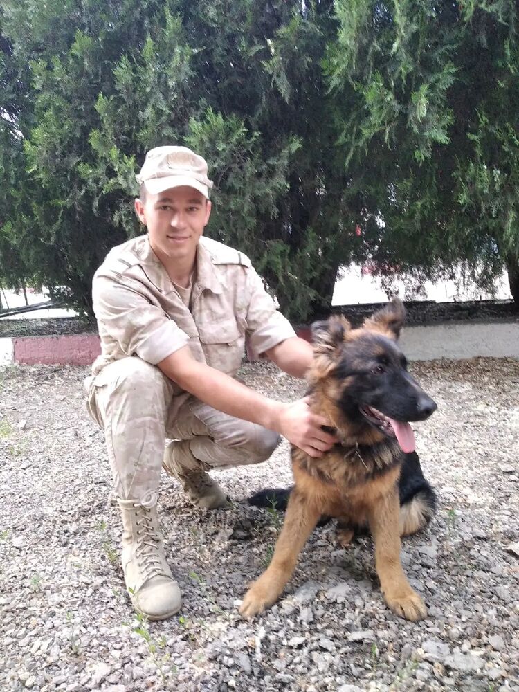 ���� 31710466 ����� ���, 23 ����, ���� ���������� � ����������