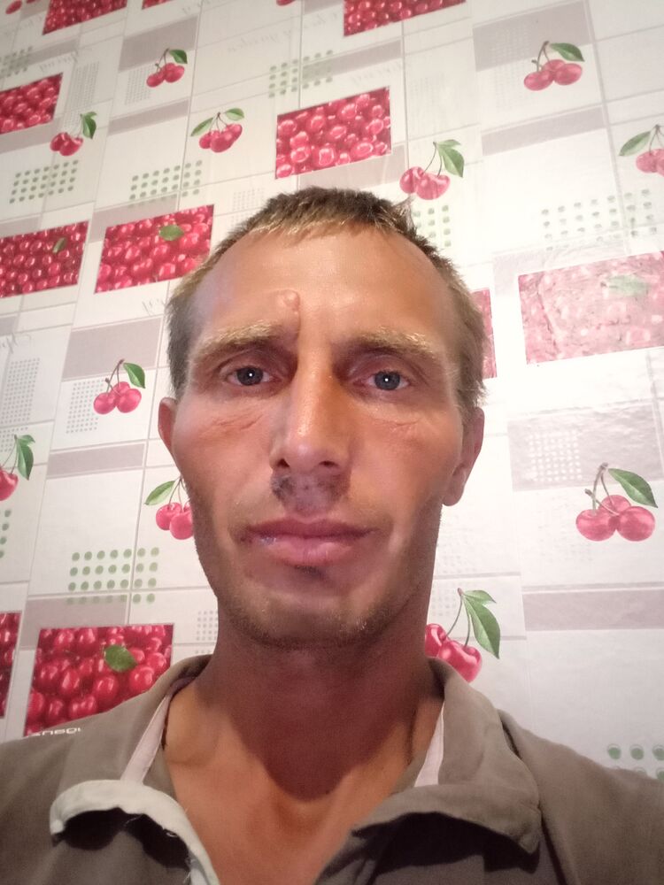  23973186  , 44 ,    