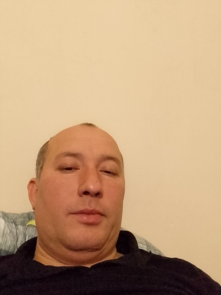  31558736  , 44 ,    