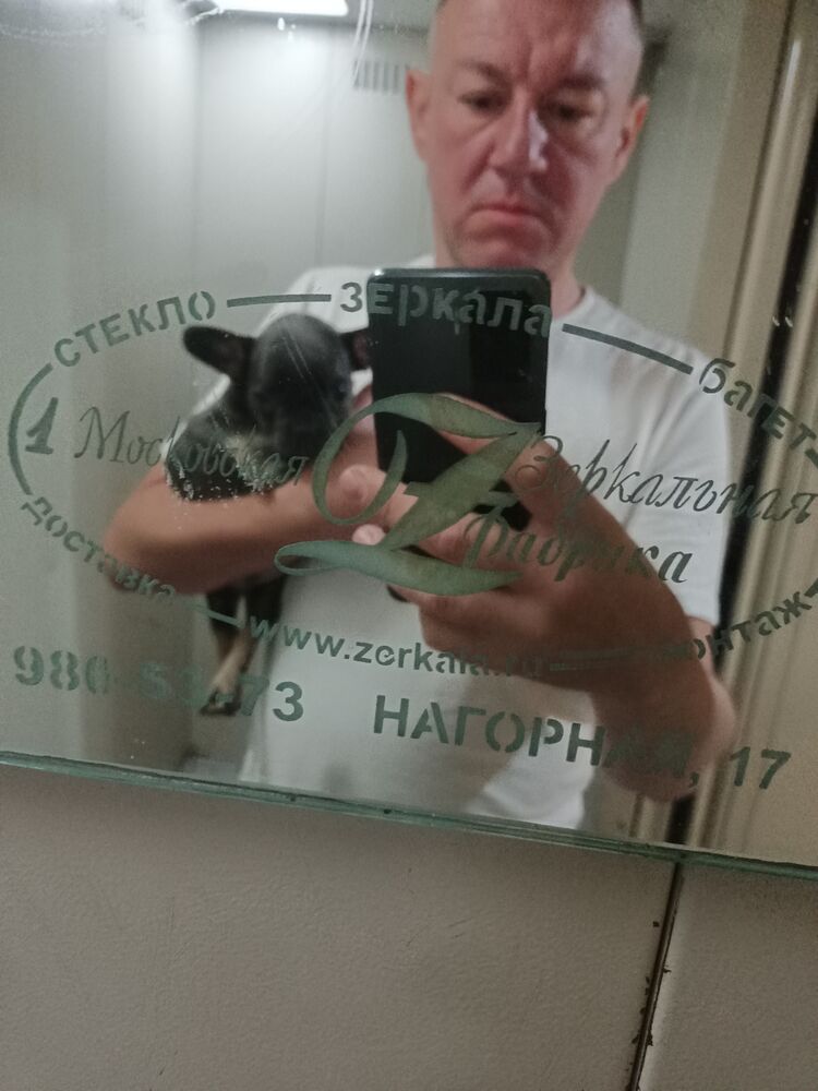  52752546  , 40 ,    