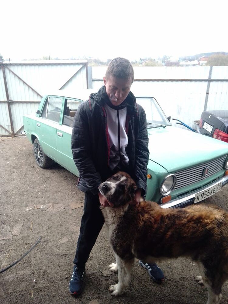 ���� 33188656 ������� ���������, 50 ���, ���� ���������� � ����