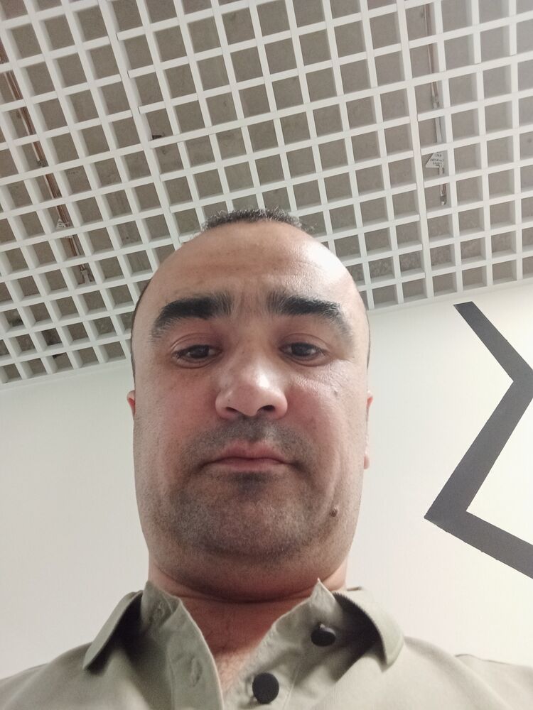  48141346  , 36 ,    -