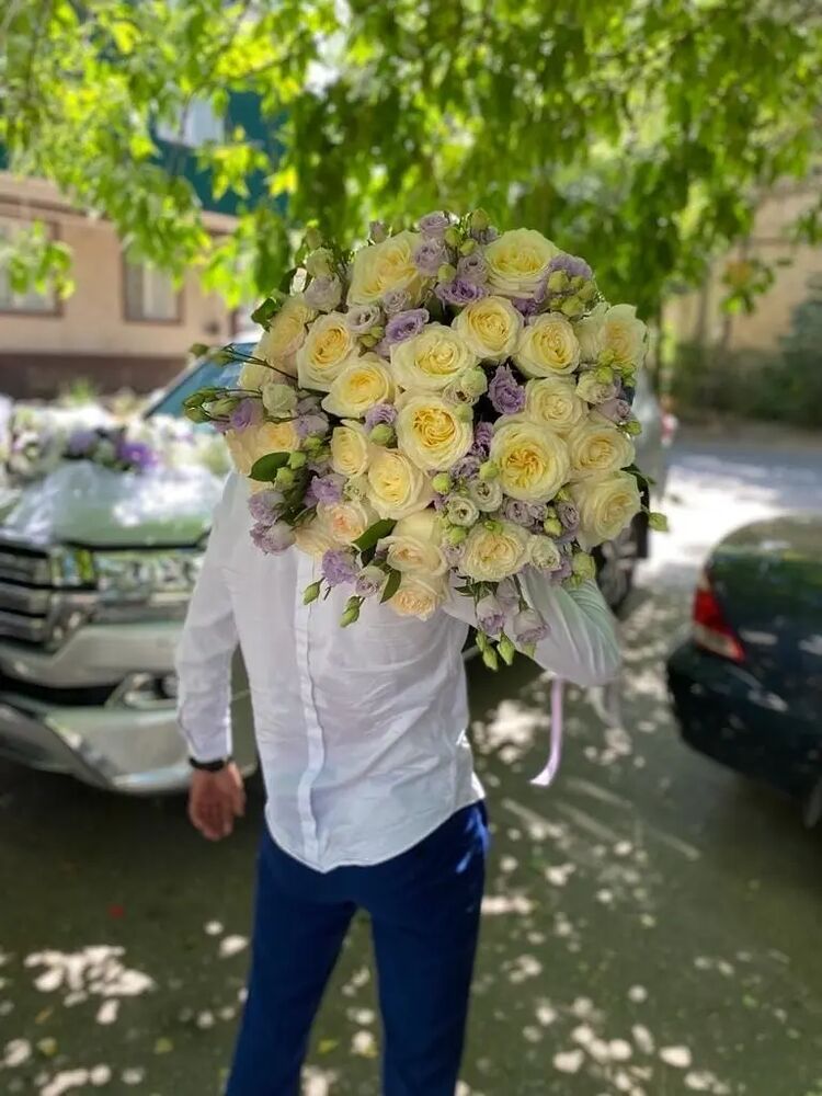  37101546  Maga, 23 ,    -