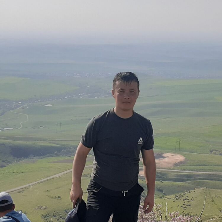  49960696  , 29 ,    