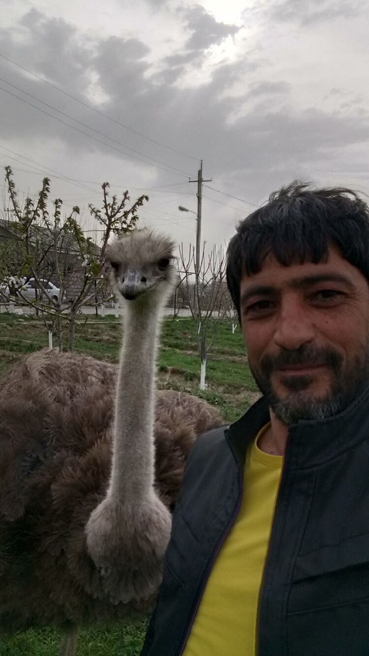 ���������� ������������, ���� ������� ARTAK, 47 ���, ������������ ��� ������, ����� � ���������