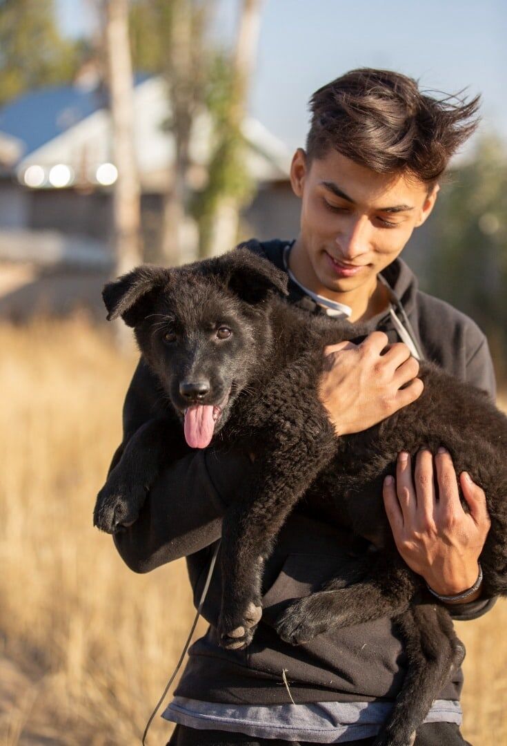 ���� 54580486 ����� �������, 21 ���, ���� ���������� � �������