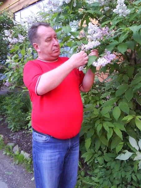 ���������� �����-���������, ���� ������� �������, 59 ���, ������������ ��� ������, ����� � ���������, c�������� ���������