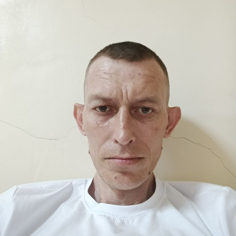  47895266  , 41 ,    