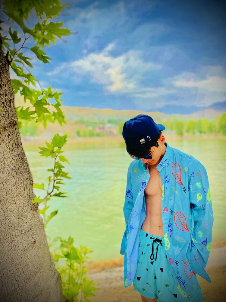  37511246  , 20 ,    -