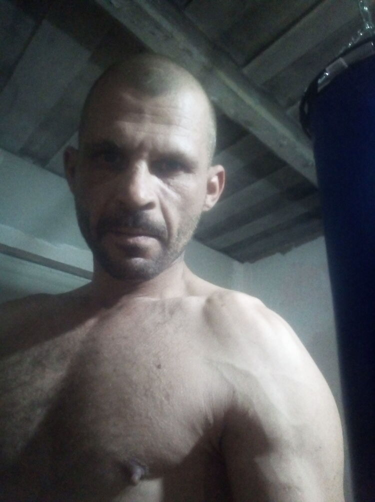  24168336  , 41 ,    