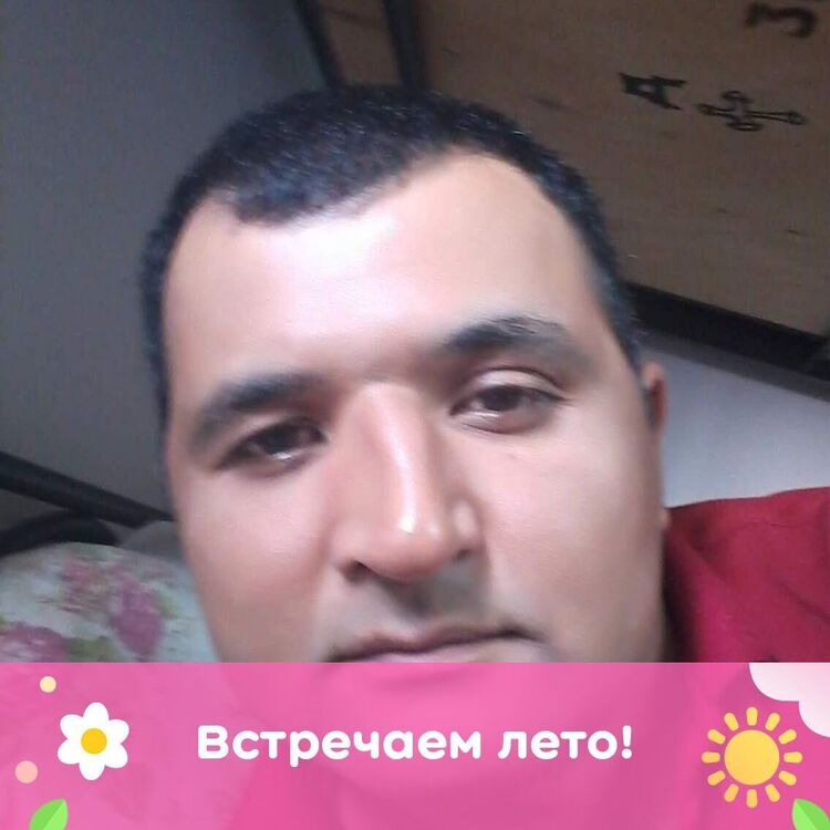  41330016  , 44 ,    