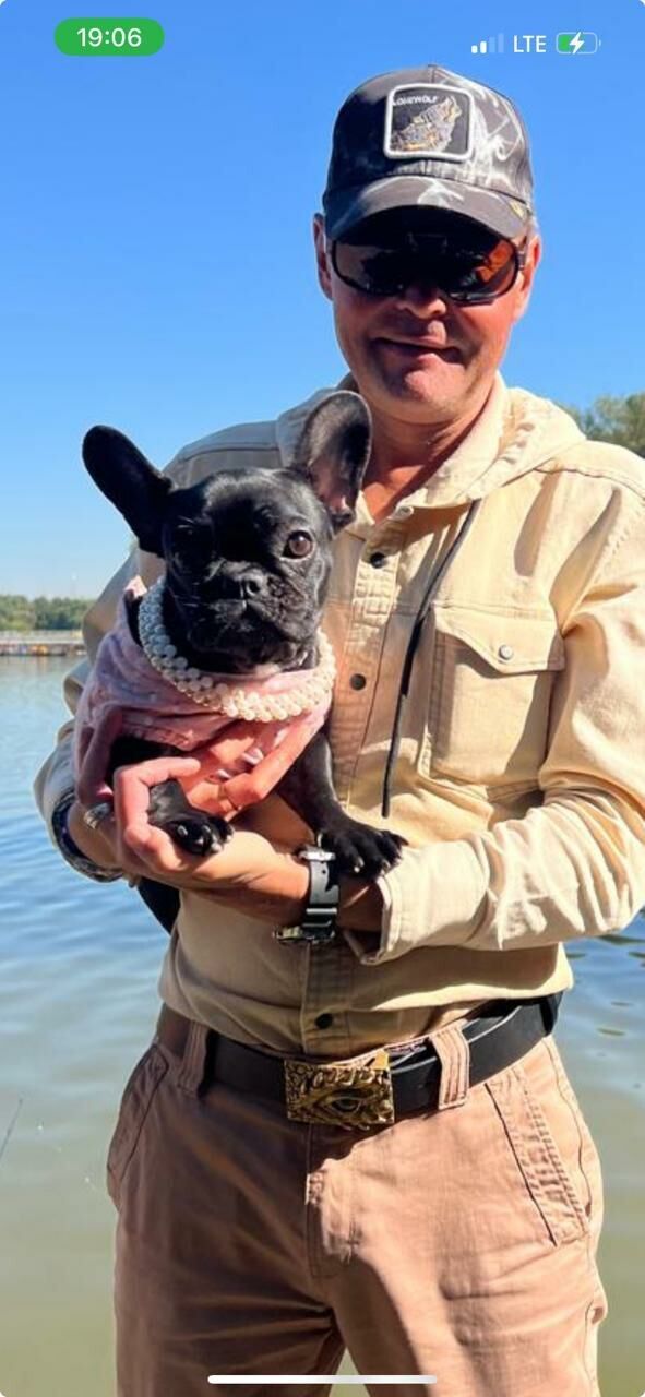 ���������� ������, ���� ������� ���������, 42 ����, ������������ ��� ������, ����� � ���������, c�������� ���������, ���������