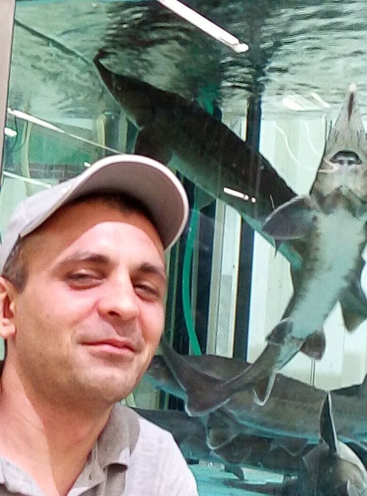 ���������� ������, ���� ������� ����, 37 ���, ������������ 