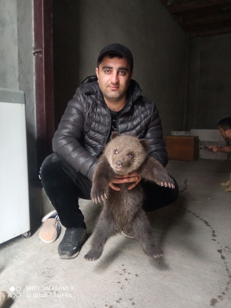 ���������� ���������, ���� ������� ����, 35 ���, ������������ ��� ������, ����� � ���������, c�������� ���������, ���������