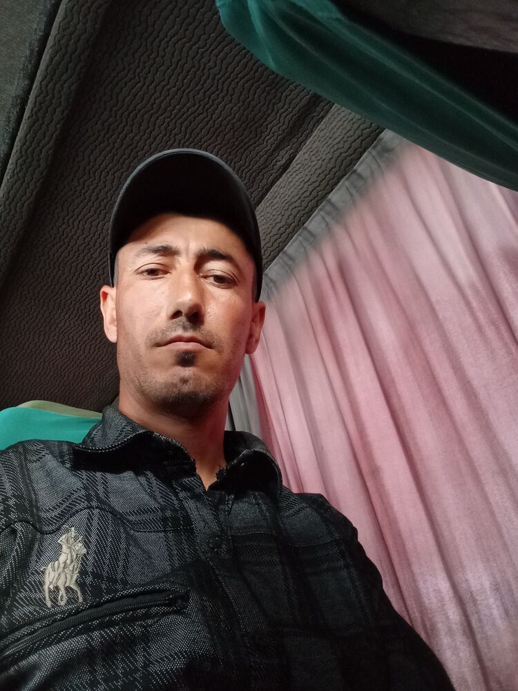  43753366  , 38 ,    