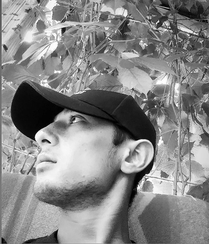  --,   , 24 ,   ,   