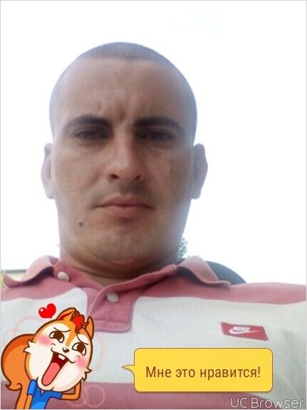  ,   , 41 ,   