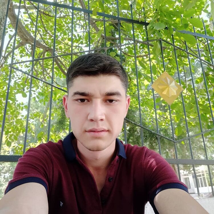  17634226  Bobur, 28 ,    