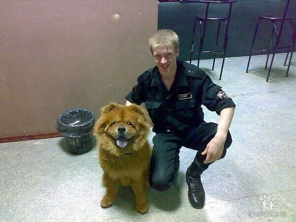 ���������� ��������, ���� ������� �����, 37 ���, ������������ ��� ����� � ���������, c�������� ���������