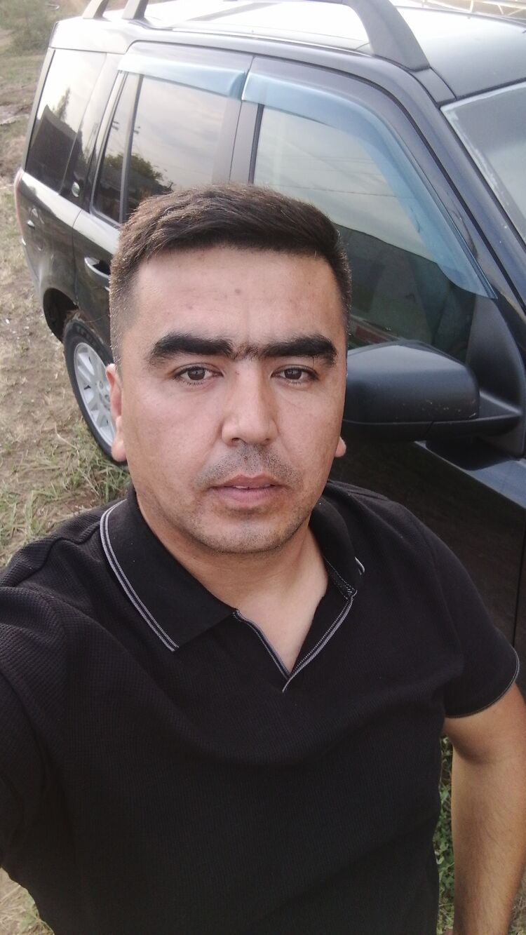  53369596  , 32 ,    