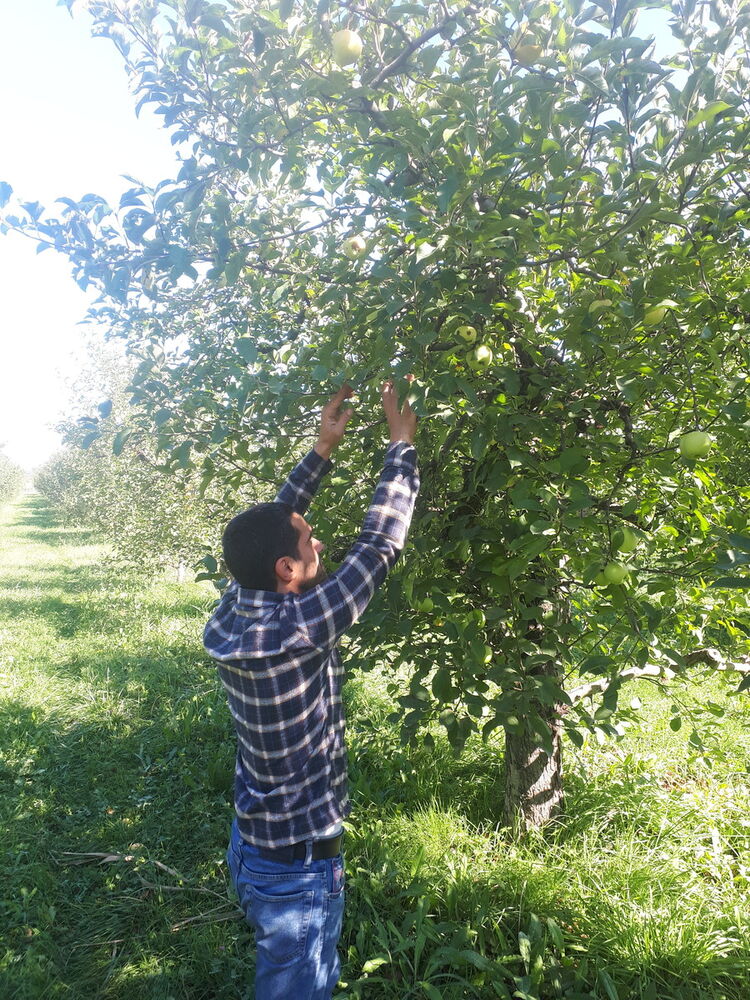  ,   Elnur, 38 ,   ,   , c 