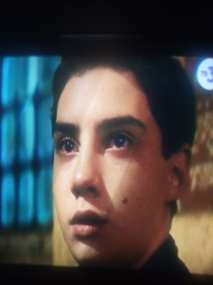 ���� 25009816 ������� �����, 44 ����, ���� ���������� � �������