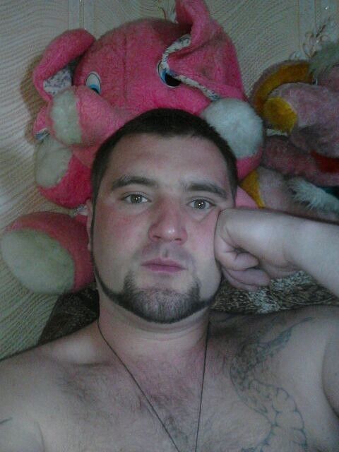 5578656  , 41 ,    