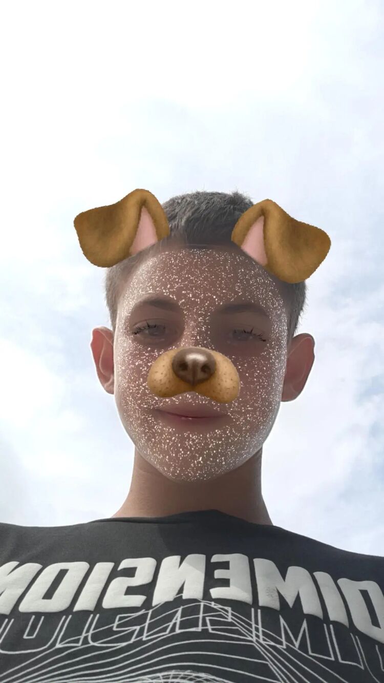  44515756  , 19 ,    