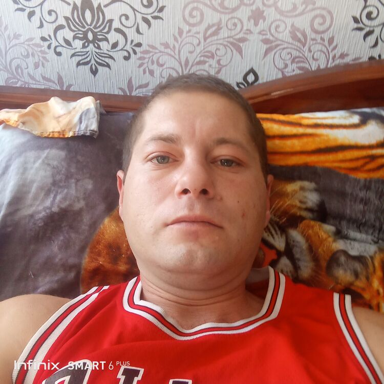  53858086  , 32 ,     